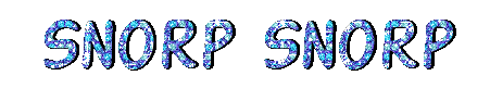Snorp Corp