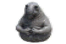 v4